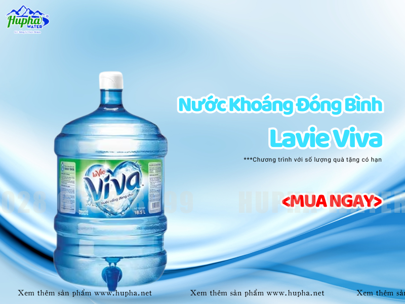 Tại Sao Nên Theo Dõi Thường Xuyên Chương Trình Khuyến Mãi Của Lavie?