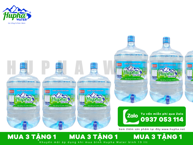 Những Lựa Chọn Nước Uống Đóng Thùng Được Ưa Chuộng Trên Thị Trường