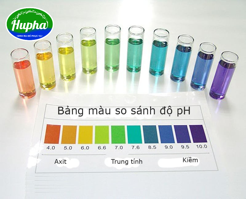 Khám phá độ pH của nước Aquafina là bao nhiêu? Bảng màu so sánh nồng độ pH