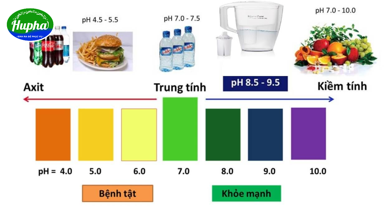 Khám phá độ pH của nước Aquafina là bao nhiêu? Thang đo lường độ pH của các loại đồ uống và thực phẩm